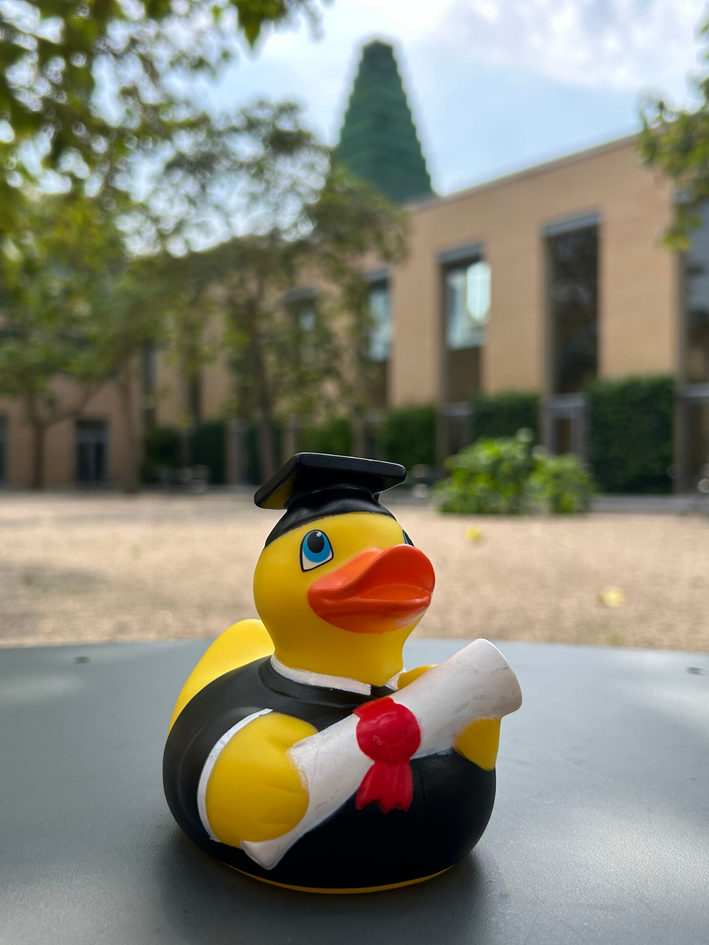 University of Oxford Graduation Rubber Duck