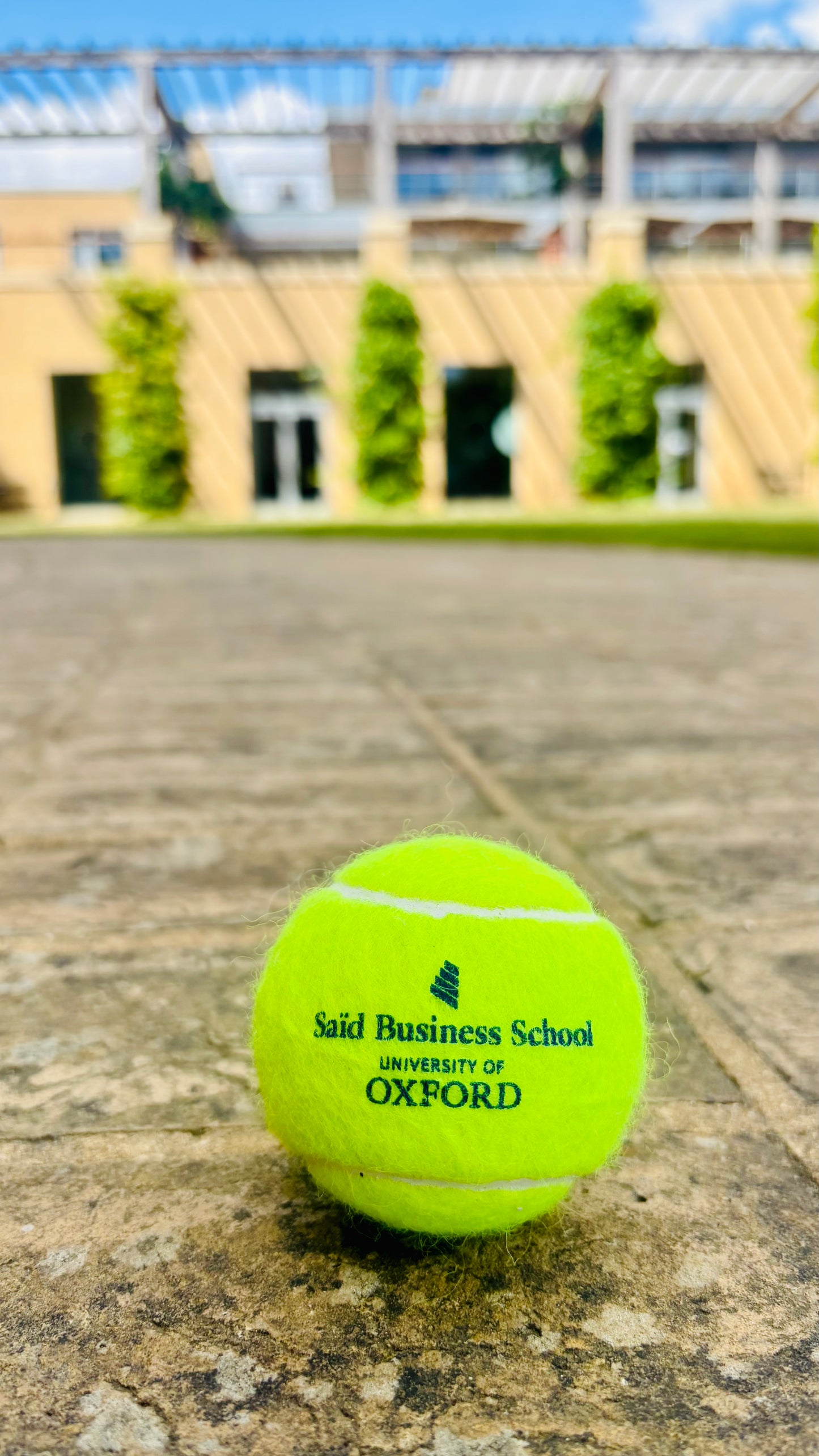 Yellow three pack branded tennis balls