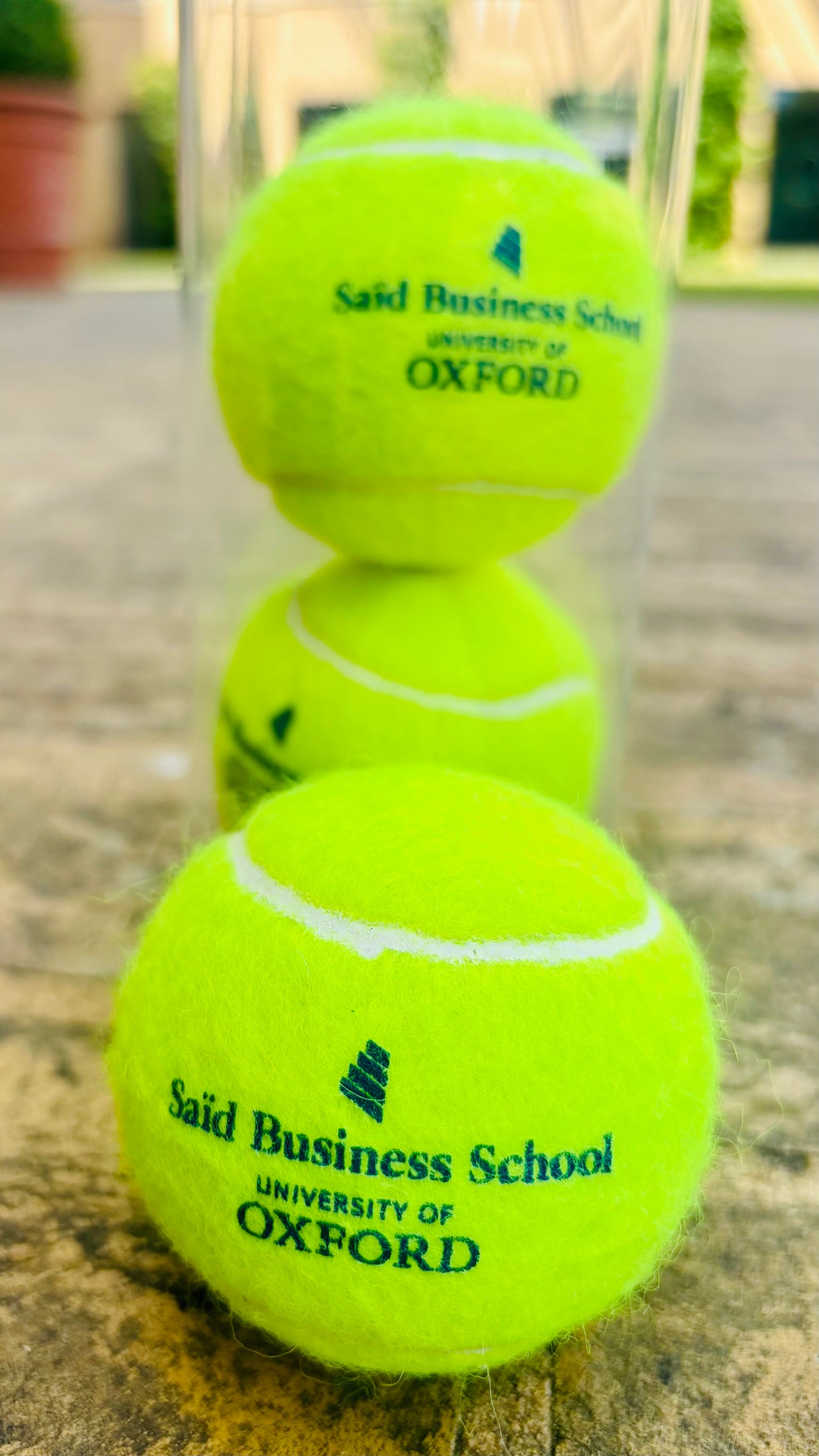 Yellow three pack branded tennis balls