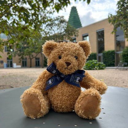 University of Oxford Premium Ribbon Teddy Bear