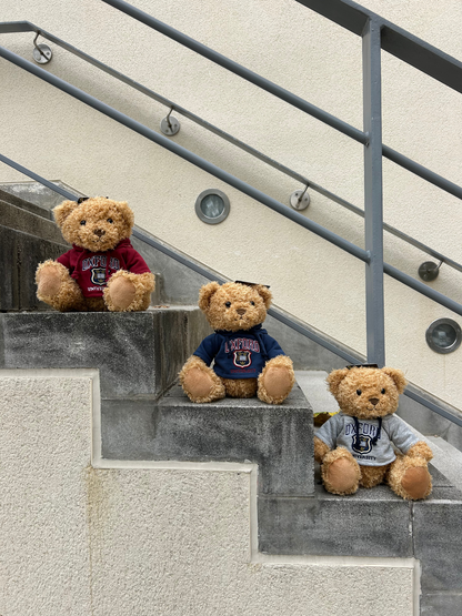 University of Oxford Shield Navy Hoodie Soft Toy Bear