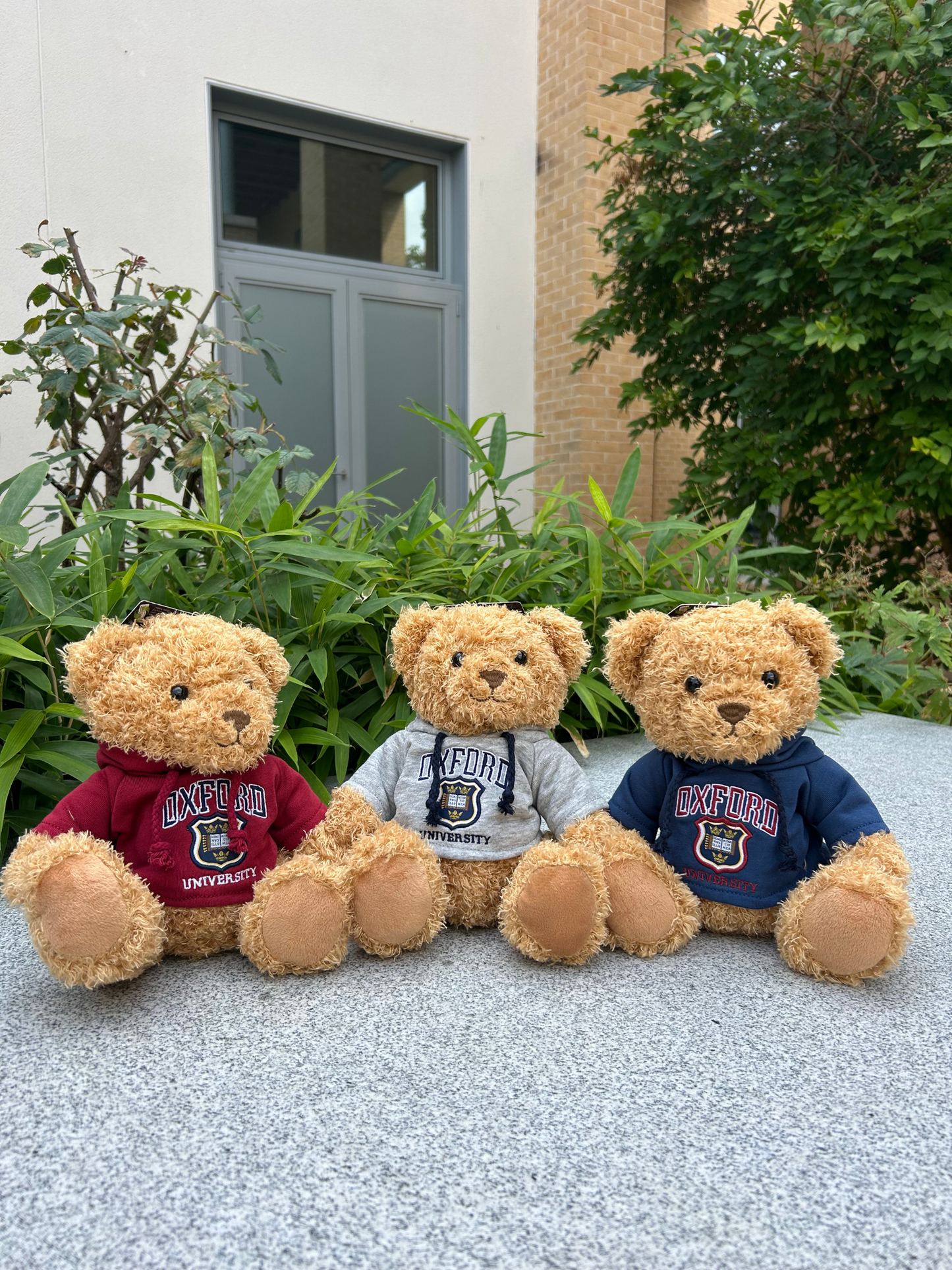 University of Oxford Shield Burgundy Hoodie Soft Toy Bear