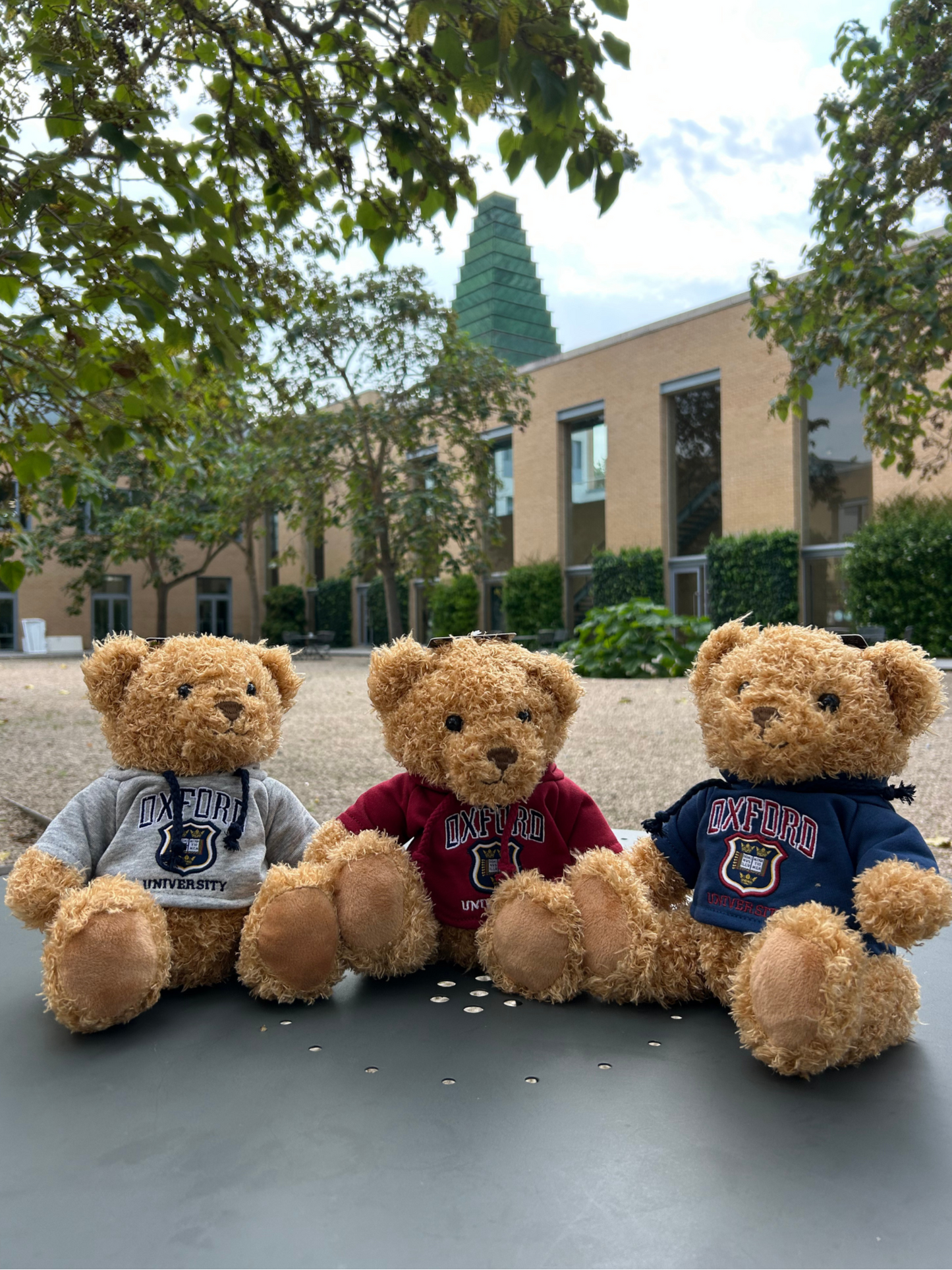 University of Oxford Shield Grey Hoodie Soft Toy Bear