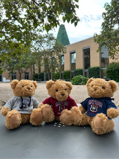 University of Oxford Shield Grey Hoodie Soft Toy Bear