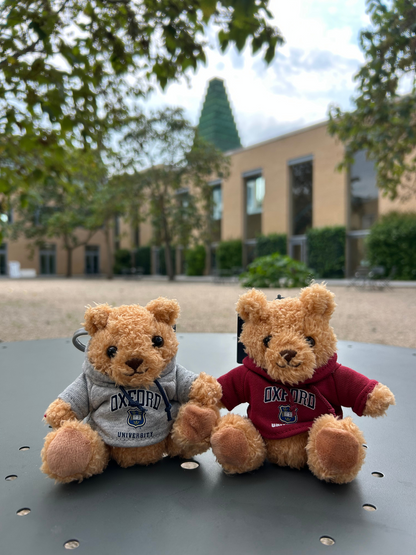 University of Oxford Small Shield Burgundy Hoodie Soft Toy Bear with clip
